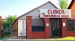 Clinica de animale mici:Clinica de Animale Mici, Cabinet medicina veterinara, clinica si terapie veterinara, diagnostic, tratament, cosmetica si frizerie canina si felina, Arad
