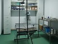 Cabinet medical veterinar, punct farmaceutic, deplasari la domiciliu, diete, hrana, accesorii, animale companie, animale mari, Mosnita Noua ( cabinet veterinar buzias - punct farmaceutic veterinar buzias ) 