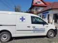  ( punct farmaceutic veterinar buzias -  ) 