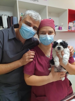 Duo-Vet:Cabinet Veterinar Duo-Vet, Consultatii veterinare, ecografie, chirurgie laser veterinara, Timisoara