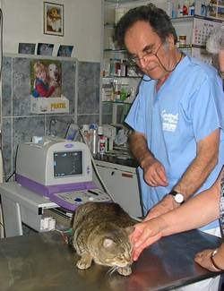 Dr. Bolte:Clinica Veterinara Dr. Bolte, Medicina Veterinara Timisoara