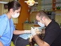 Dr. Scurtu Radu ( servicii medicale dentare timisoara - endodontie timisoara ) 