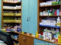 Farmacie, medicamente, remedii homeopatice, produse din plante, produse pentru detoxifiere si slabit, Timisoara ( remedii homeopatice timisoara - produse dermato-cosmetice timisoara ) 