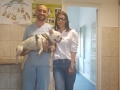 Cabinet medicina veterinara, chirurgie veterinara, Timisoara ( neurochirurgie veterinara Timisoara - Cabinet veterinar Take Ionescu Timisoara ) 