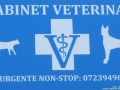  (  chirurgie cardiaca veterinara Timisoara - ortopedie veterinara ) 